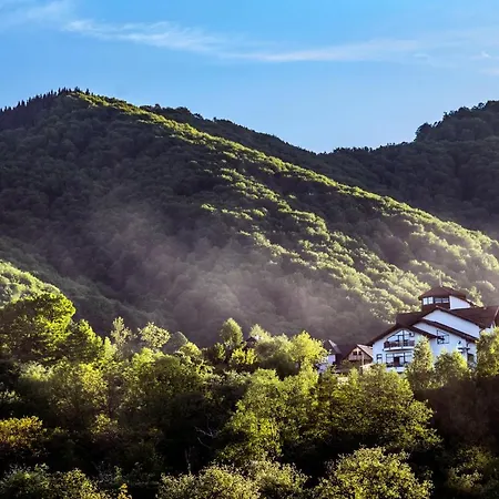 Transylvanian 3*
