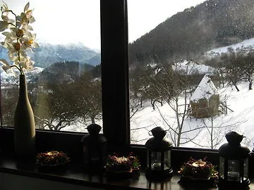 Transylvanian Bran (Brasov)